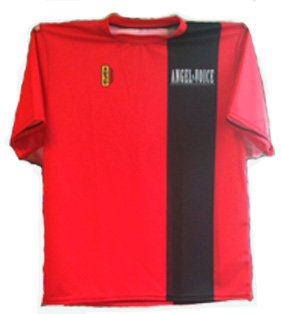 http://www.manga-news.com/public/News%202011/juin/maillot-angelvoice-juin2011.jpg