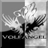 volfangel Logo volfangel