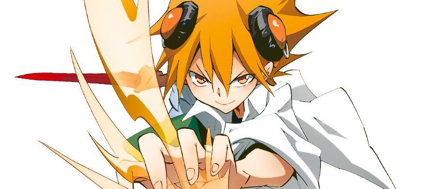 Dossier Shaman King Flowers - TAKEI Hiroyuki - Présentation - Manga news