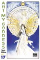 Manga - Manhwa - Ah! my goddess Vol.17