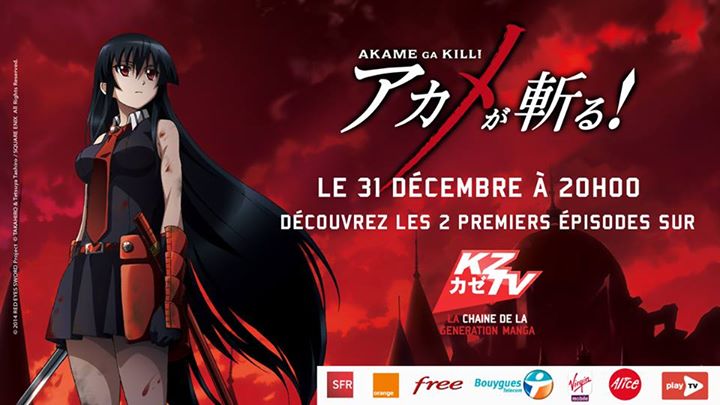 akame-ga-kill-kztv-revillon-2014.jpg