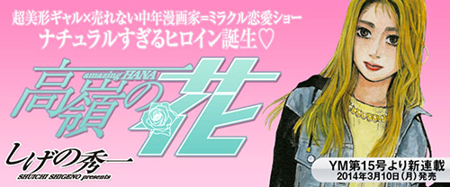 takane-no-hana-launch.jpg