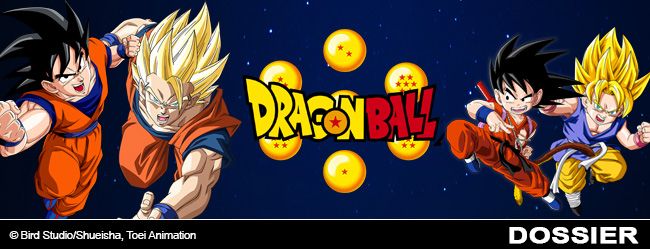 slide-dossier-dragon-ball-partie-2.jpg