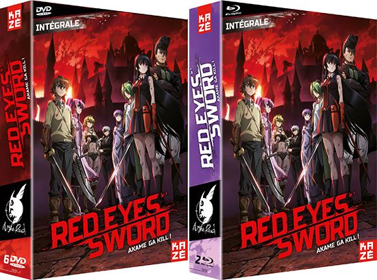 diteur Kaz - Page 11 Red-eyes-sword-annonce-coffret-integral-2018