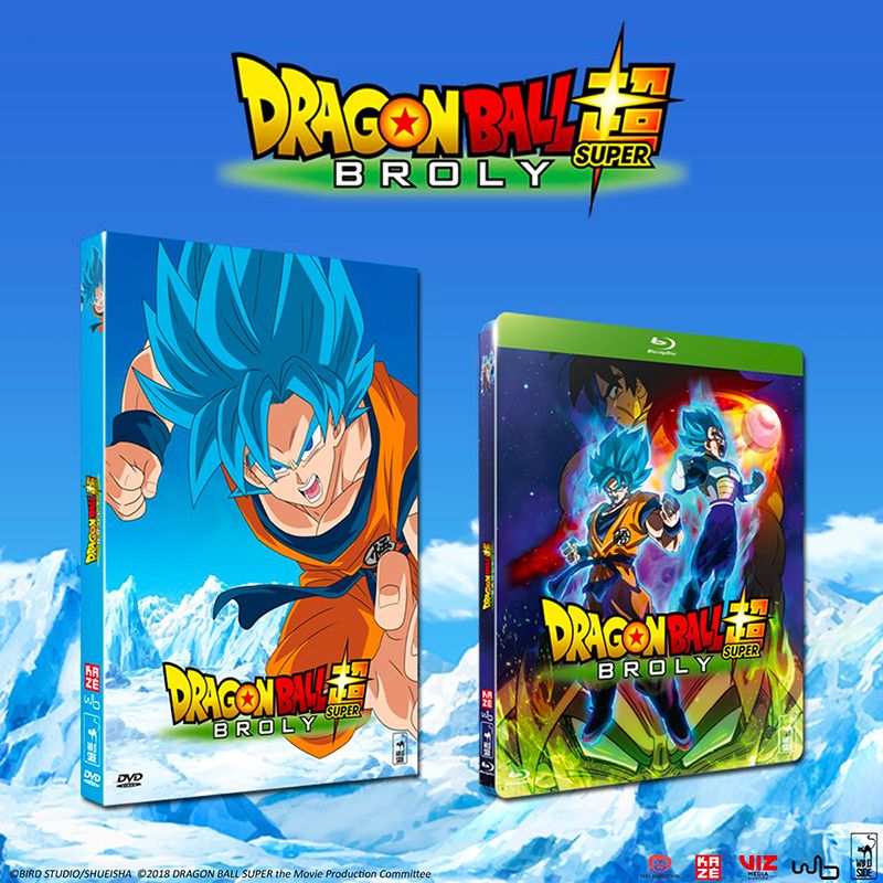 annonce-dvd-db-super-broly-wild-side.jpg