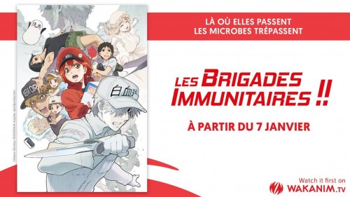 annonce-brigade-immunitaires-s2-wakanim.jpg