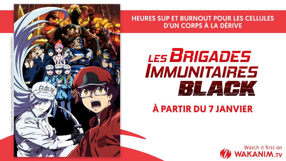 annonce-brigade-immunitaires-black-s1-wakanim.jpg