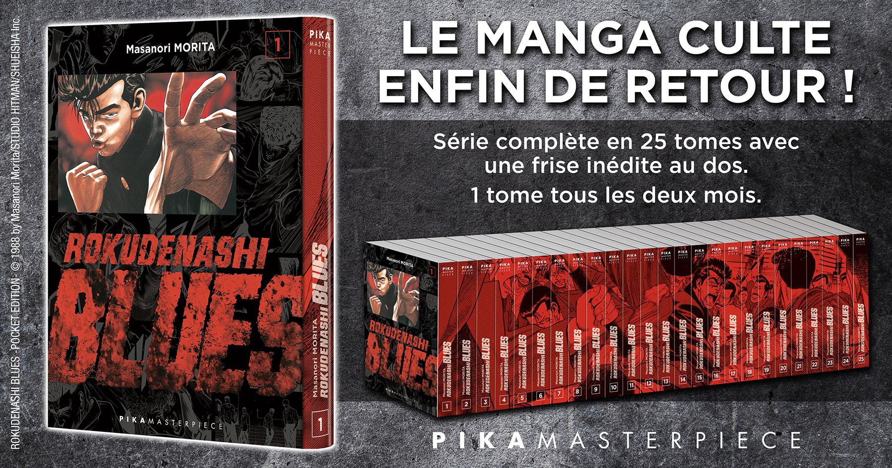 Manga Dragon Ball collection complète livres tome 1 à 21 double intégral en  couleur collection rare