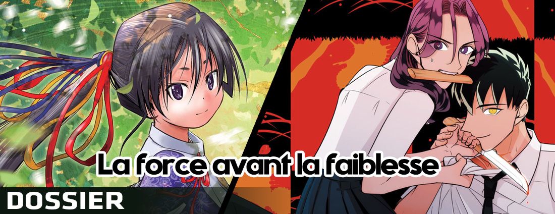 Comment protéger ses manga et conserver sa mangathèque ? - Manga Shield