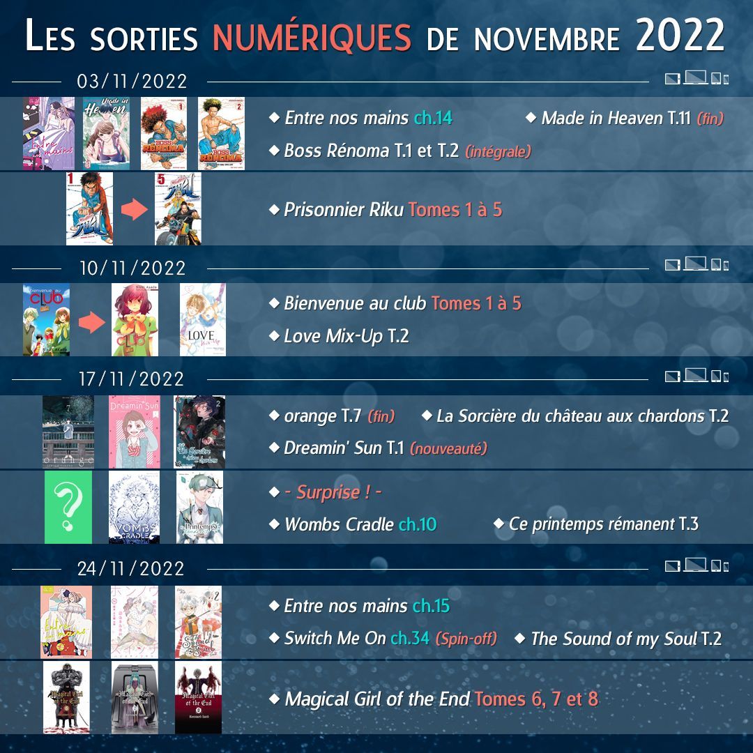 https://www.manga-news.com/public/2022/news_11/akata-planning-numerique-novembre.jpg