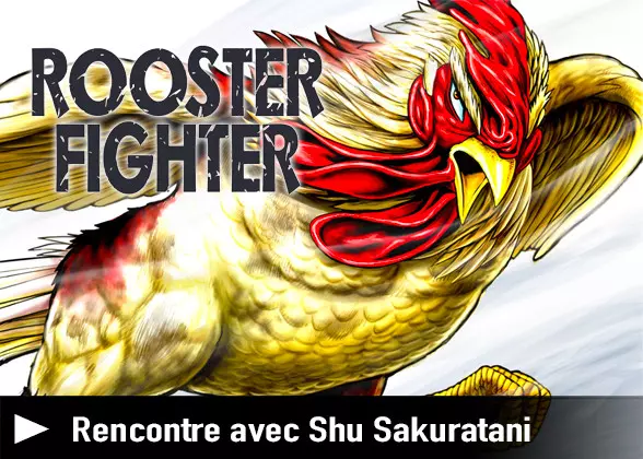 interview Rooster Fighter