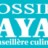 Aya - Conseillère culinaire