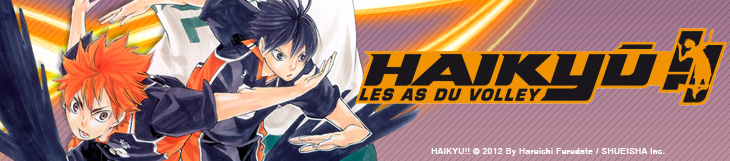 Dossier manga - Haikyû !!