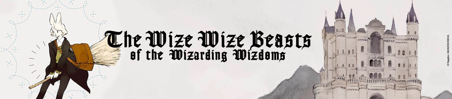 Dossier - The Wize Wize Beasts of The Wizarding Wizdoms