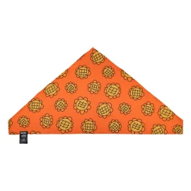 One Piece bandana & Berry Coins Nami 