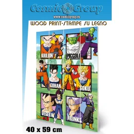 DRAGON BALL WARRIOR SQUARES impression bois 