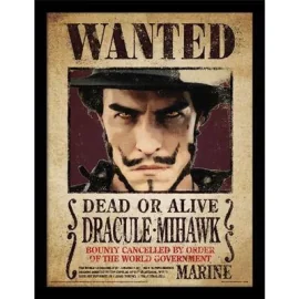 ONE PIECE LIVE ACTION - Dracule Mihawk - Impression encadrée 30x40cm 