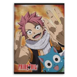 FAIRY TAIL - Natsu & Happy - Plaid en polaire 100x140cm 