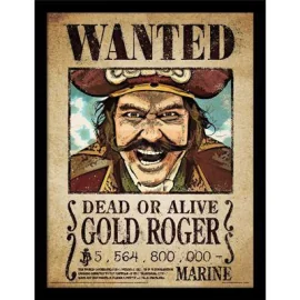 ONE PIECE LIVE ACTION Netflix - Gold Roger - Impression encadrée 30x40cm 