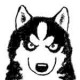 Masaya HOKAZONO