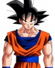 personnage anime - SON GOKU / SANGOKU