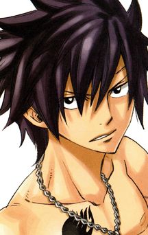 FULLBUSTER Grey