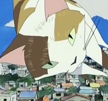 personnage manga - Le Chat volant