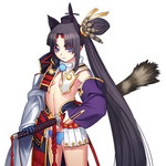 personnage jeux video - Rider/Ushiwakamaru
