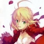 personnage jeux video - Nero Claudius