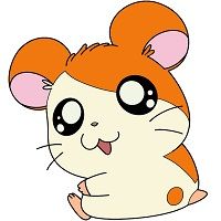 Hamtaro