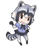 Araiguma - Common Raccoon - Raton Laveur