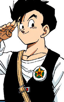 personnage manga - Son Gohan