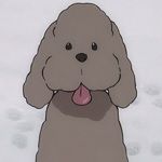 personnage anime - Makkachin