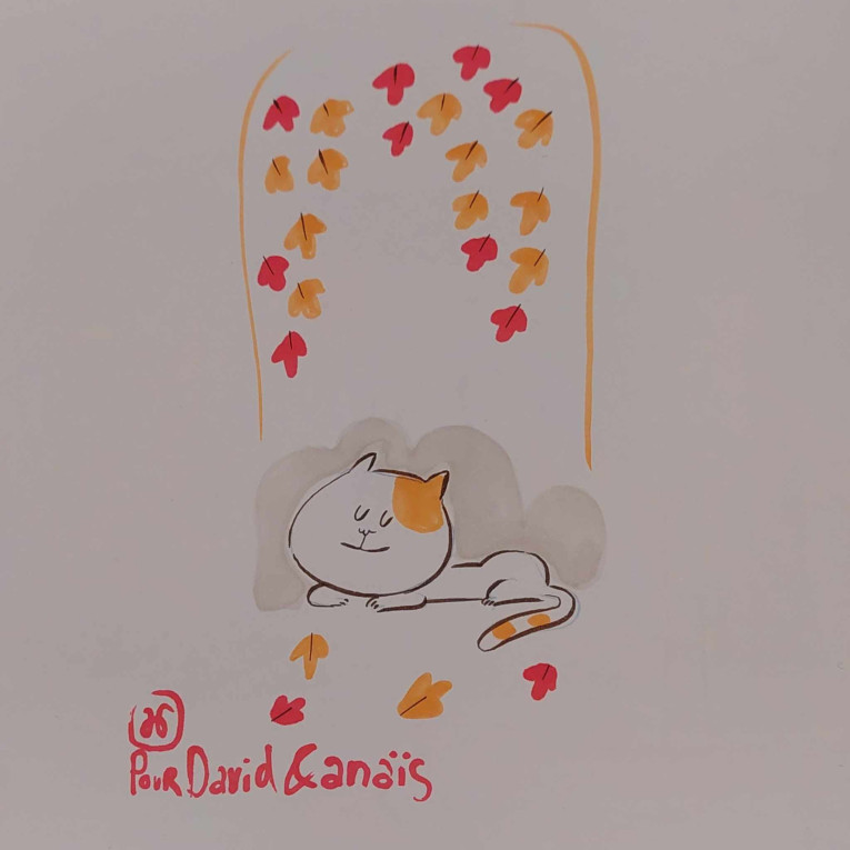 Dédicace d'aAlex - Neko land