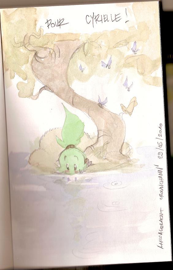 Crouchann pour Dofus