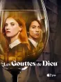 Les Gouttes de Dieu / Drops of God