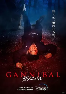 film vod asie - Gannibal - Saison 1
