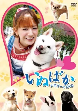 film asie - Inu Baka