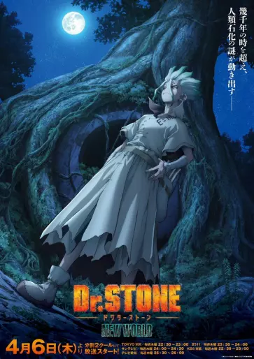 anime manga - Dr Stone - Saison 3 - New World