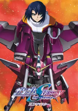 manga animé - Mobile Suit Gundam SEED Destiny - Special Edition II - Leurs épées respectives