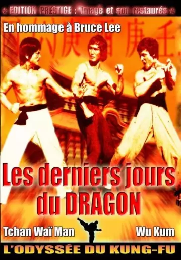 anime manga - Derniers jours du Dragon (Les)