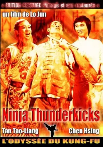anime manga - Ninja Thunderkicks