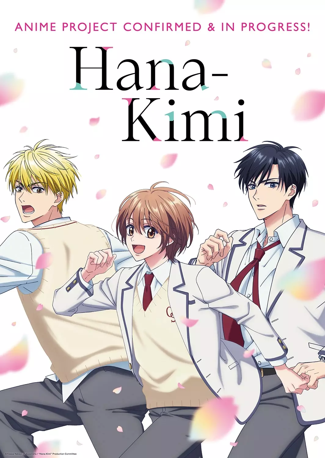 vidéo manga - Hana-Kimi