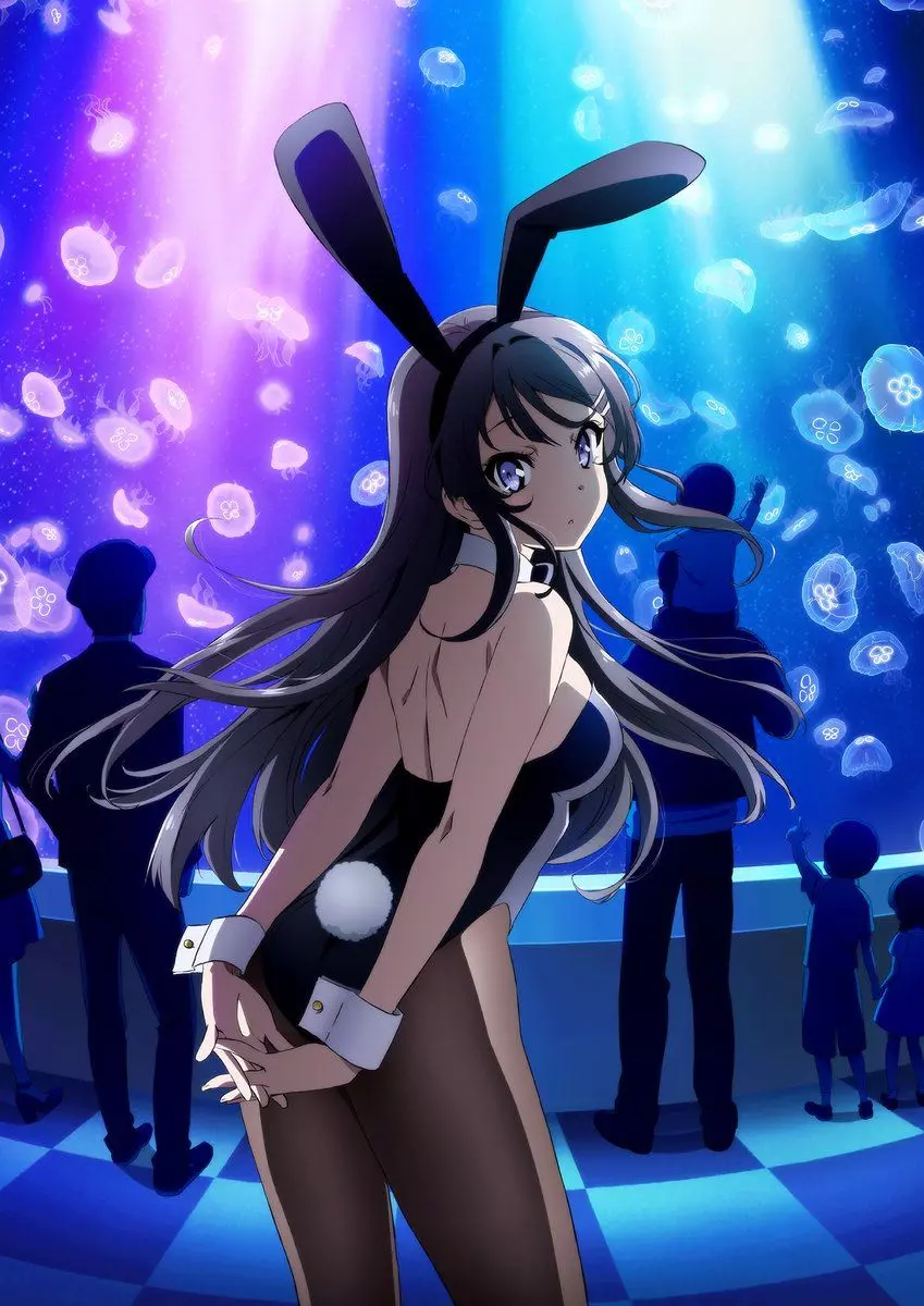 Rascal Does Not Dream of Bunny Girl Senpai - TV