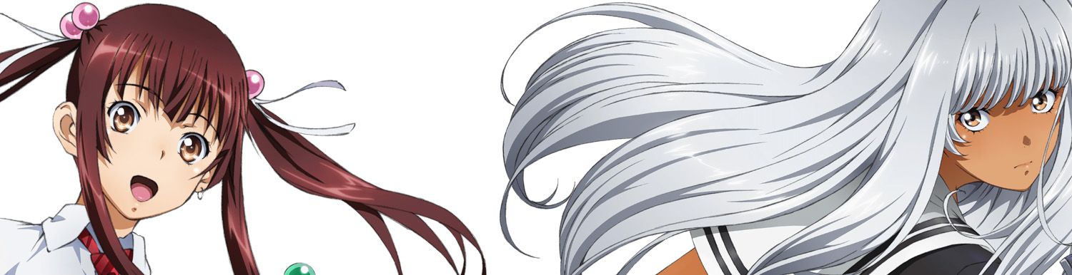 Shin Ikkitousen - Anime