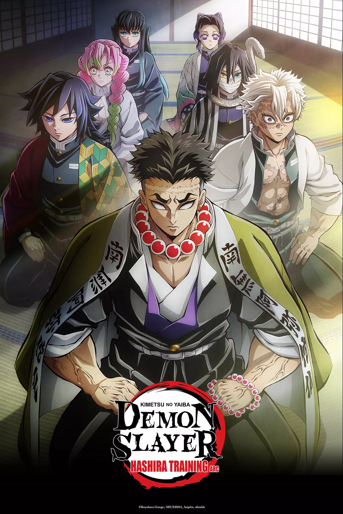 Demon Slayer - Saison 4 - L'entraînement des Piliers