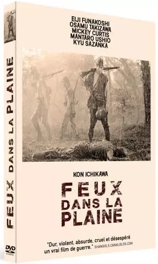 Feux dans la plaine