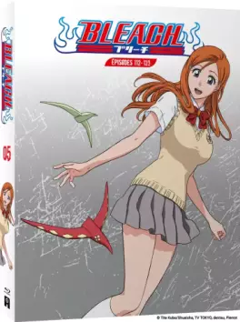 Bleach - Edition Blu-ray