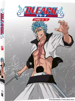 Anime - Bleach - Edition Blu-ray Vol.6