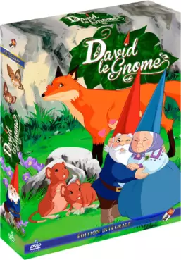 manga animé - David le Gnome